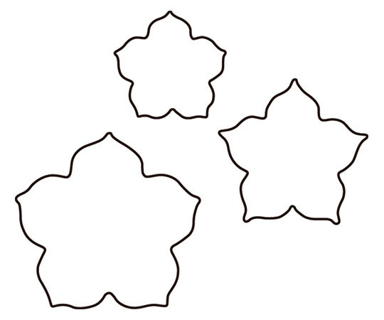 生抜 3PC 桔梗　