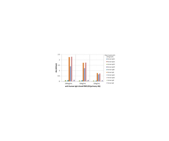 Rabbit Anti-Human IgA, clone RM128 Antibody