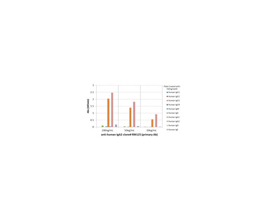 Rabbit Anti-Human IgA2, clone RM125 Antibody