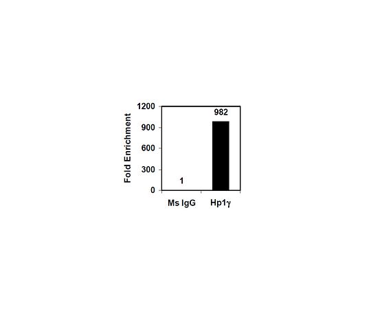 EZ-Magna ChIP(TM) A/G Chromatin Immunoprecipitation Kit