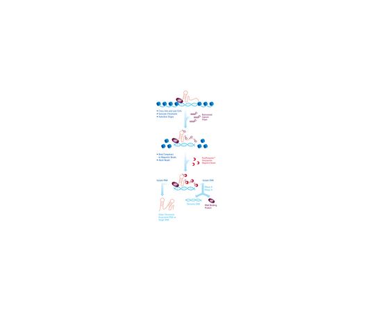 EZ-Magna ChIRP RNA Interactome Kit