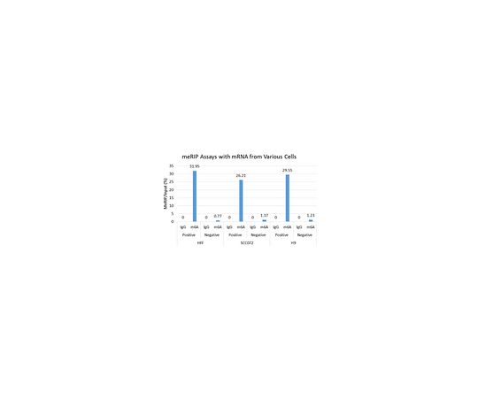 Magna MeRIP(TM) m6A Kit- Transcriptome-wide Profiling of N6-Methyladenosine