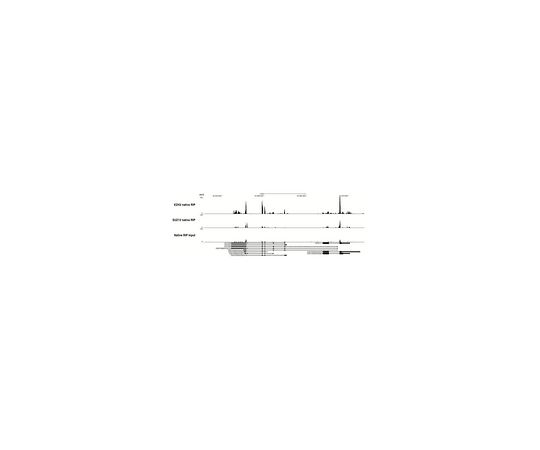 62-8395-14 EZ-Nuclear RIP Native Kit 17-10523 アズワン 低価高品質