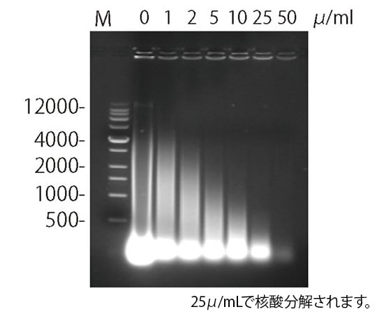 【冷凍】NVG（メルク）62-8402-35　Benzonase(R) Nuclease、 Purity > 90%　70746-3
