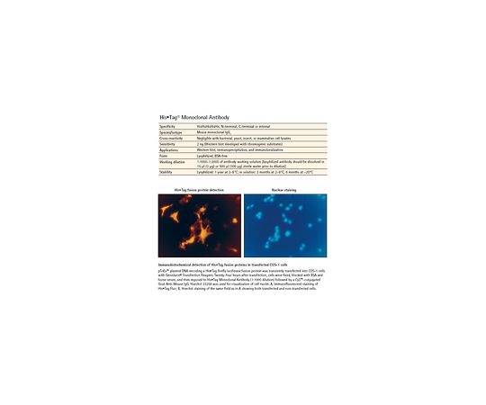 His⋅Tag(R) Monoclonal Antibody