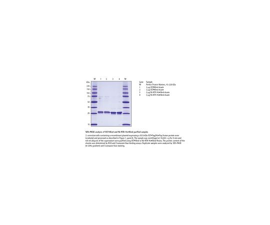 YeastBuster(TM) Protein Extraction Reagent