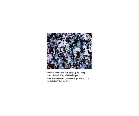 Insect GeneJuice(R) Transfection Reagent