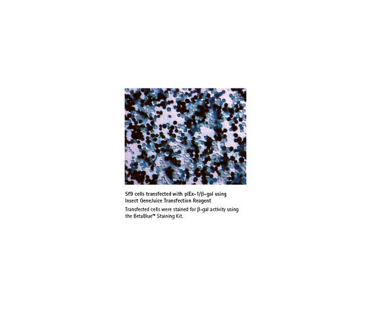 Insect GeneJuice(R) Transfection Reagent