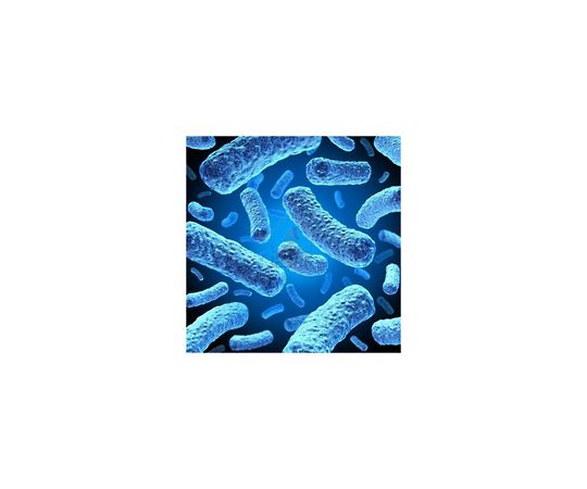 Rosetta(TM) 2(DE3) Competent Cells