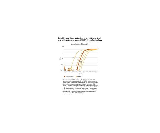 NovaQUANT(TM) Human Mitochondrial to Nuclear DNA Ratio Kit
