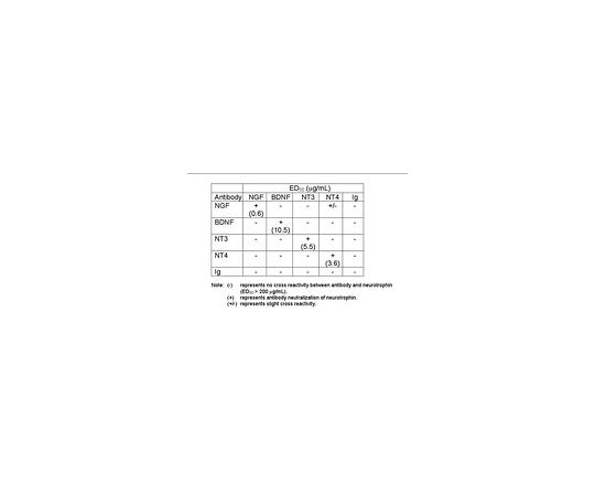 Anti-Brain Derived Neurotrophic Factor; 100 μL