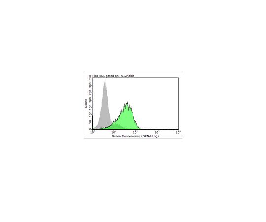 Anti-Integrin α3 Antibody, clone ASC-1 (Azide Free)