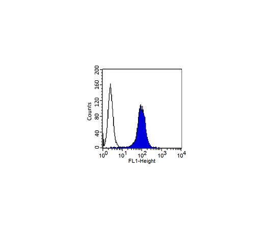Anti-MCAM, Clone P1H12, FITC Conjugated; 100 μg