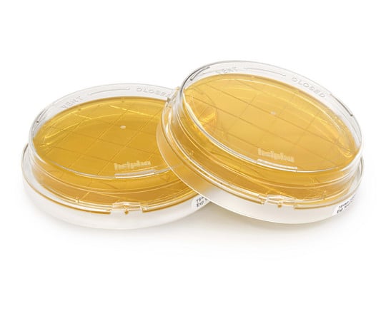 TSA w. LTHThio cont.-ICR+ -200P