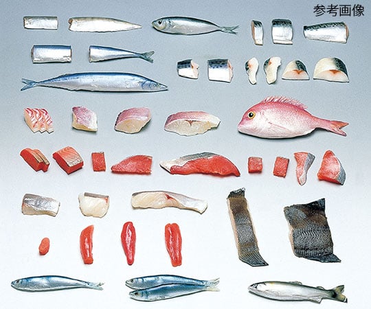 フードモデル(魚介類) 塩ざけ40g