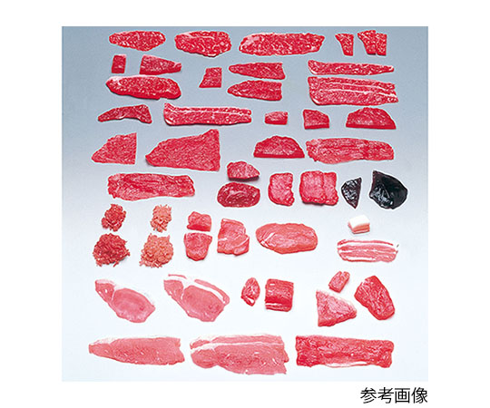 フードモデル(獣鳥肉類) 豚もも脂身付き50g