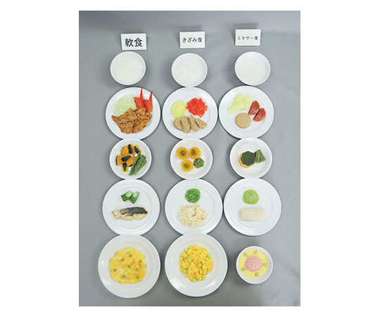 フードモデル 介護食(段階別)
