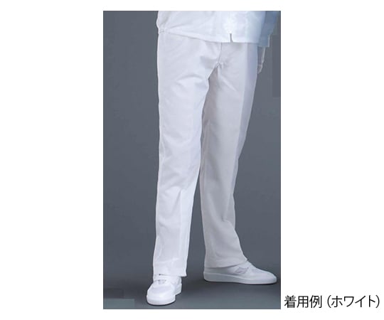 クリーンパンツ ブルー Lサイズ