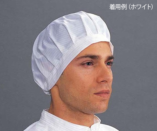 クリーンキャップ G301 ブルー