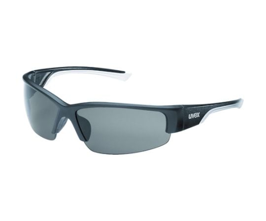 二眼型保護メガネ　ポーラビジョン9231（偏光レンズ）