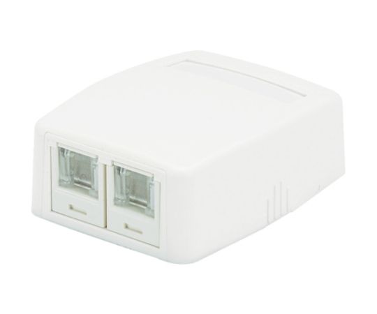 CAT5Eスプリングシャッター付きローゼットキット　2個口　白