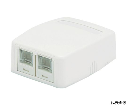 CAT6Aスプリングシャッター付きローゼットキット　2個口　白