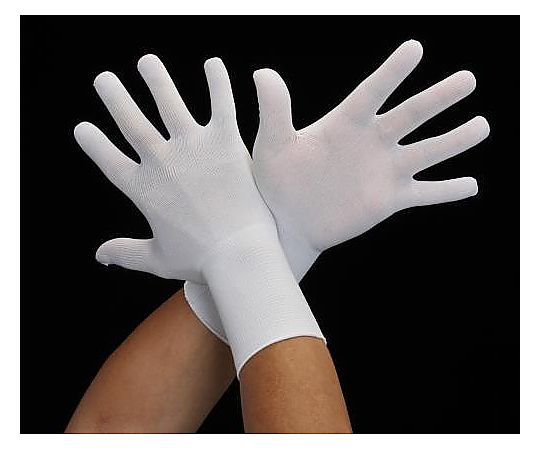 [Ｌ/240mm] 手袋・インナー(10双)