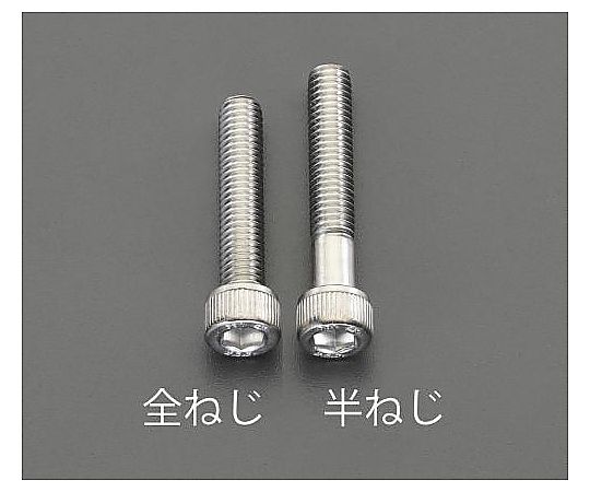 M10x55mm[A2-100]六角穴付ﾎﾞﾙﾄ(ｽﾃﾝﾚｽ/2本)