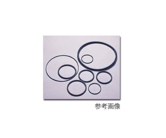 Oリング (PFA+フッ素ゴム)