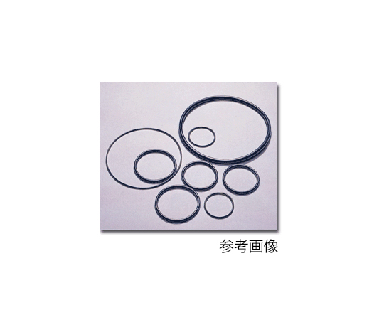 Oリング (PFA+フッ素ゴム)