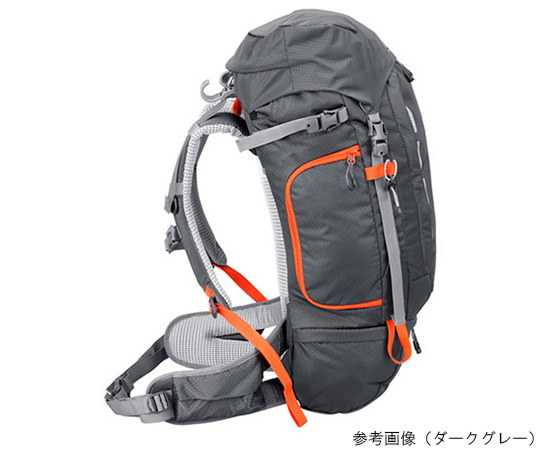 gw advance alpine40 バック ストア パック