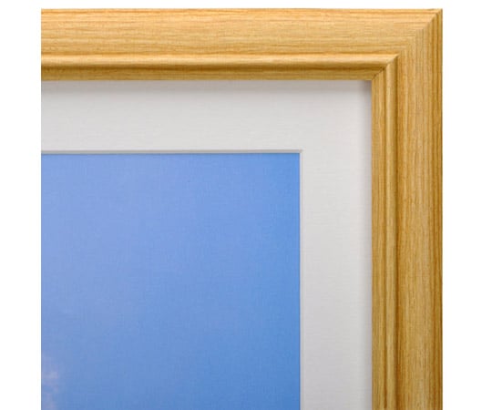 額縁 naocamp Amazon.co.jp: FUJICOLOR 額縁 肖像額 L 2面 ブラック 木製 無