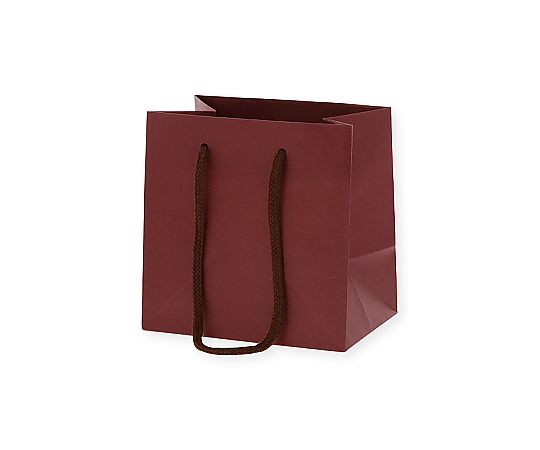 手提げ紙袋　カラーチャームバッグ　エンジ　10枚