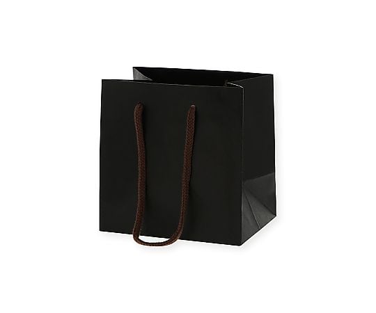 手提げ紙袋　カラーチャームバッグ　黒　10枚