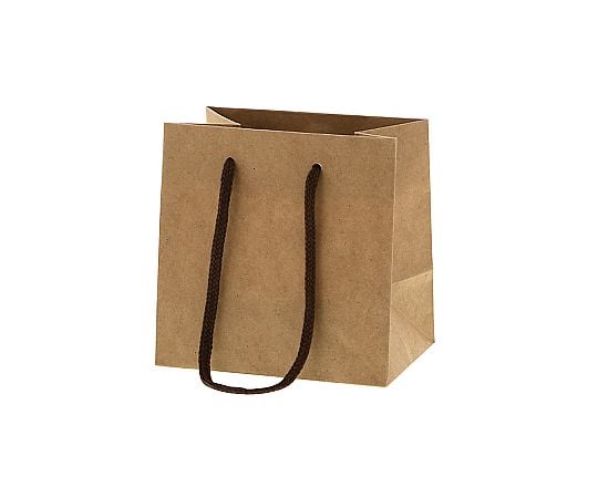 手提げ紙袋　カラーチャームバッグ　クラフト　10枚