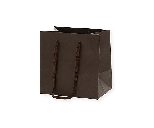 手提げ紙袋　カラーチャームバッグ　ブラウン　10枚