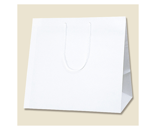 63 1339 85 手提げ紙袋 アレンジバッグ Ss 白 New 10枚 Axel アズワン
