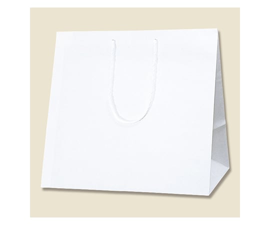 63 1339 85 手提げ紙袋 アレンジバッグ Ss 白 New 10枚 Axel アズワン 63 1339 85 手提げ紙袋 アレンジバッグ Ss 白 New 10枚 Axel アズワン
