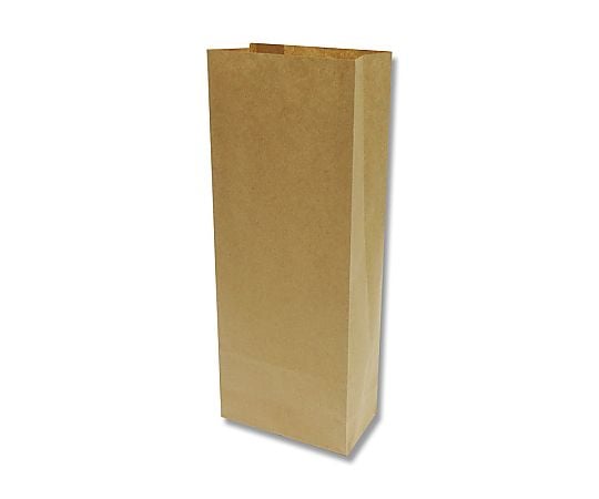 角底紙袋　ファンシーバッグ　SSA　未晒無地　100枚