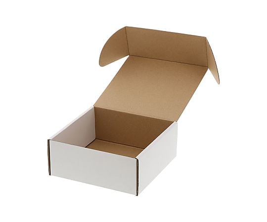 箱　フリーボックス　10枚