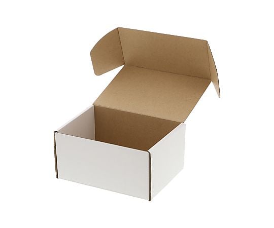 箱　フリーボックス　10枚