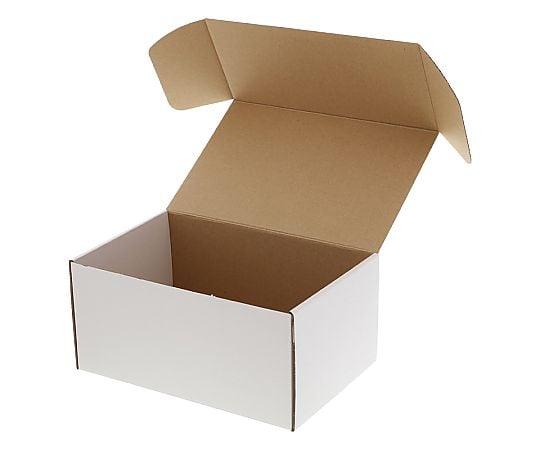 箱　フリーボックス　10枚