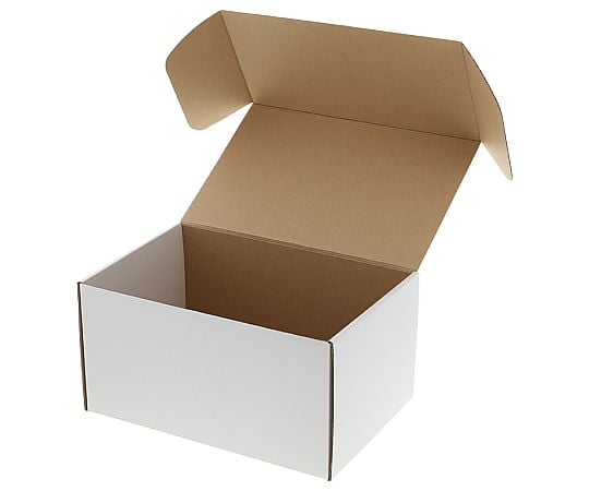 箱　フリーボックス　10枚