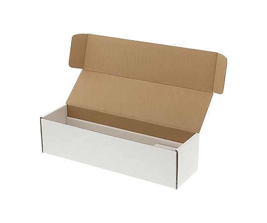 箱　フリーボックス　10枚