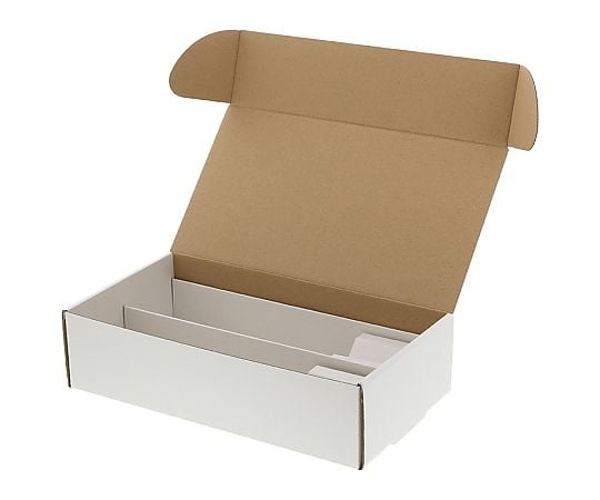 箱　フリーボックス　10枚