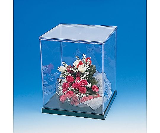 箱　ウインナーケース角　21×25　4個