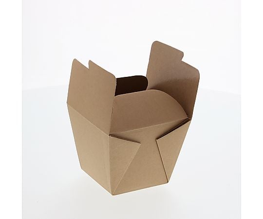 食品容器　ネオクラフトボックス　フードボックス　S　20枚