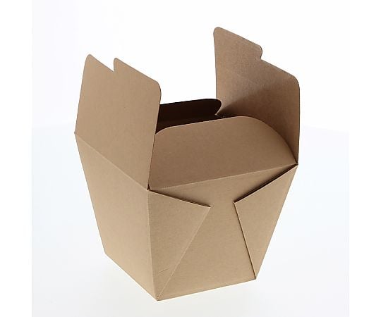 食品容器　ネオクラフトボックス　フードボックス　M　20枚