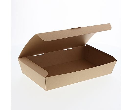 食品容器　ネオクラフトボックス　スナックボックス　L　20枚