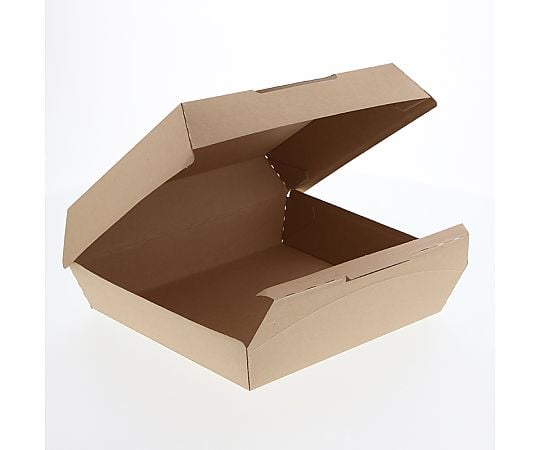 食品容器　ネオクラフトボックス　ランチボックス　L　10枚